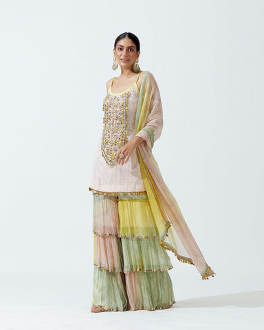 Plazo Dress- Buy Latest Designer Palazzo Salwar Suit Online| Kreeva
